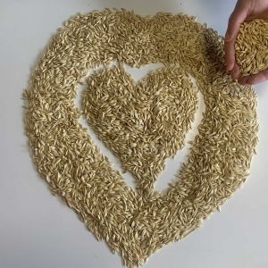 Cereali e legumi